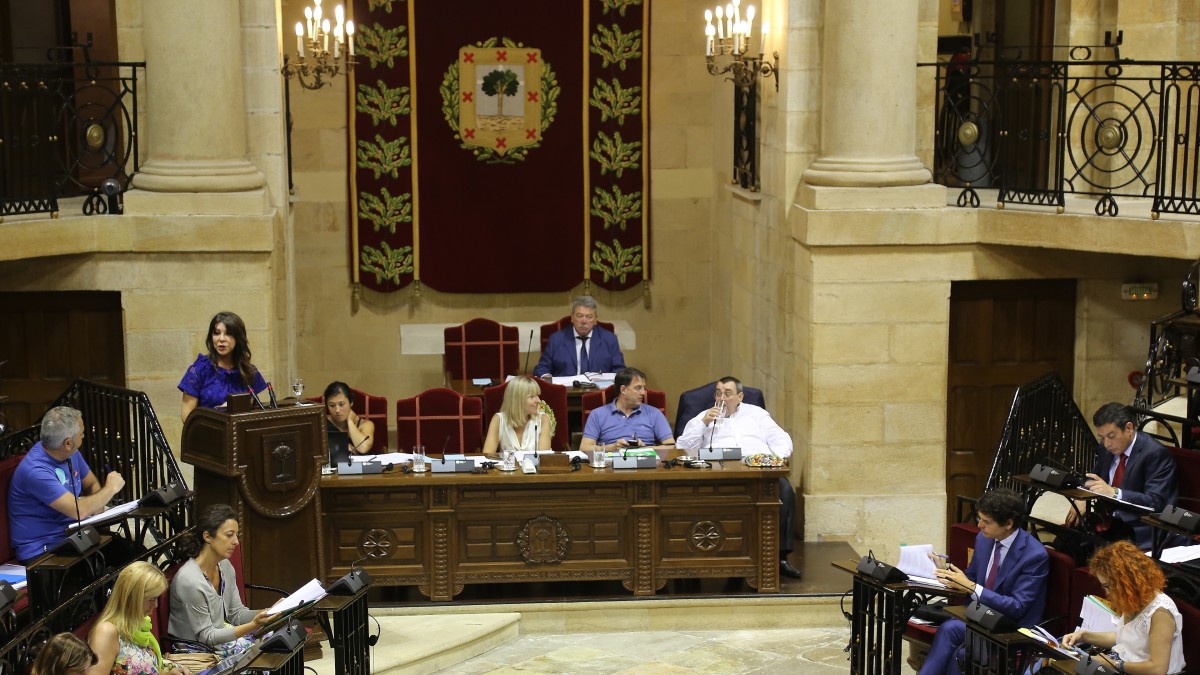 Pleno Juntas Generales Bizkaia (20.07.2016)