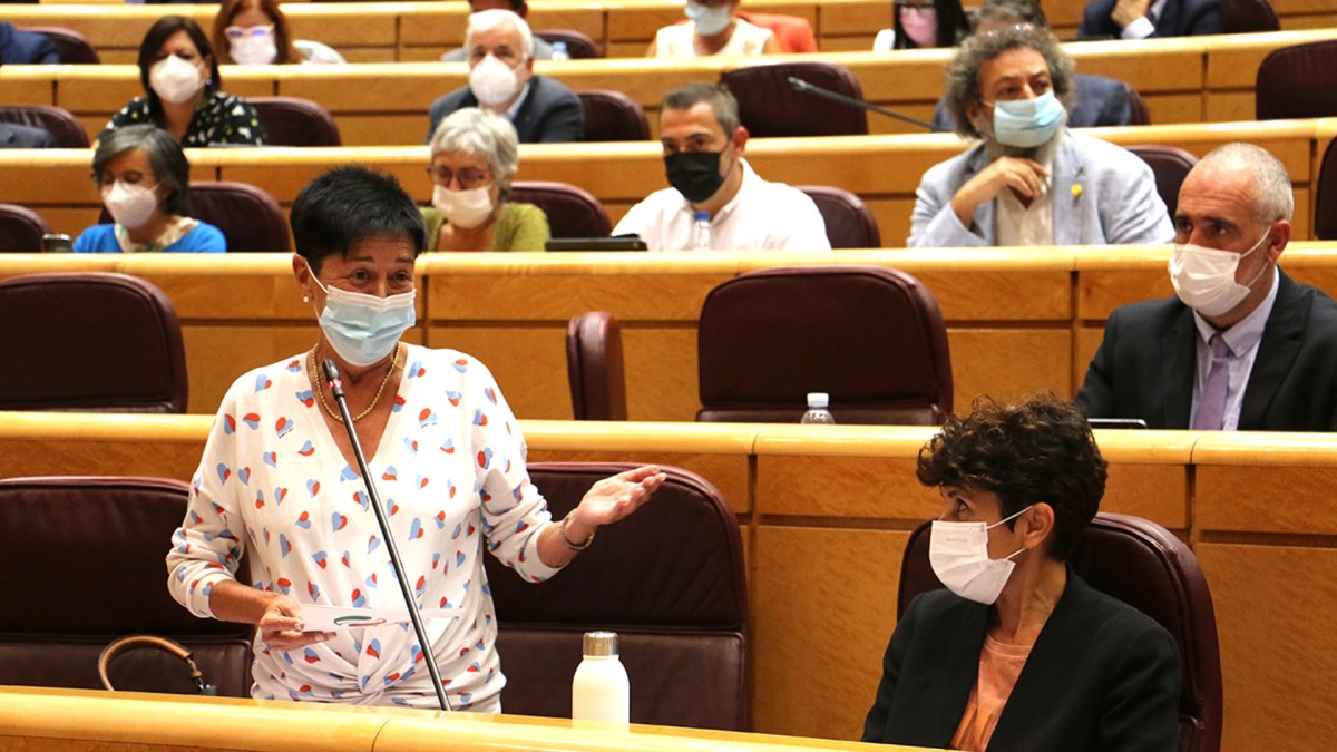 Nerea Ahedo crítica a Escrivá la falta de “política de gobierno” en materia migratoria y pide que se modifique el reglamento de la ley de Extranjería