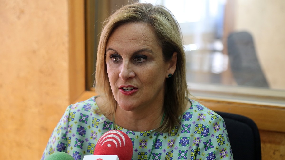 “UPyD y Ciutadans tendrán que amoldarse a los grupos que estábamos con anterioridad y a nuestras exigencias”