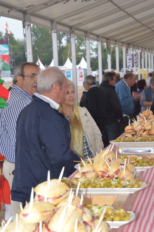 Alderdi Eguna 2014 EAJ-PNV - Alderdiko jendea