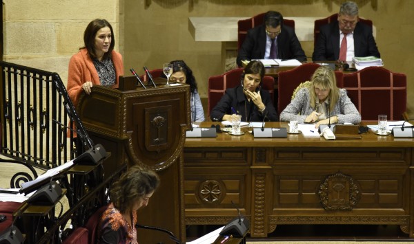 28.10.2015 Gernika - Pleno de control