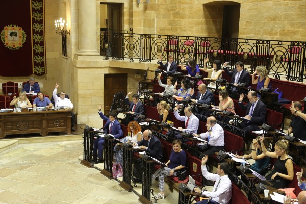 Pleno Juntas Generales Bizkaia (20.07.2016)