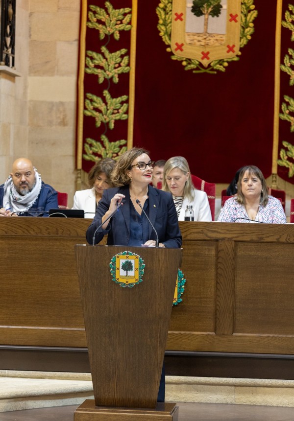 Pleno de Política General de Bizkaia 2025