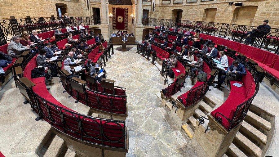 EAJ-PNV evidencia en Juntas Generales las incoherencias de EH Bildu sobre la futura estación de Usansolo