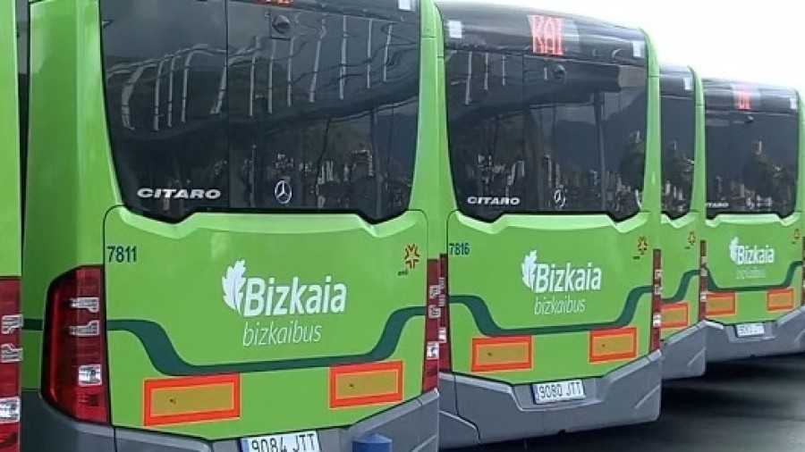 EAJ-PNV de Arratia presenta alegaciones para mejorar el nuevo planteamiento de Bizkaibus en la comarca