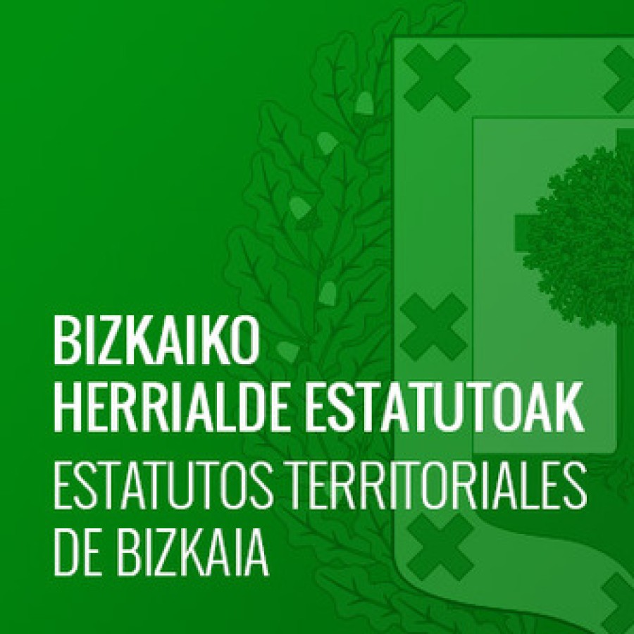 Bizkaiko Herrialde Estatutoak